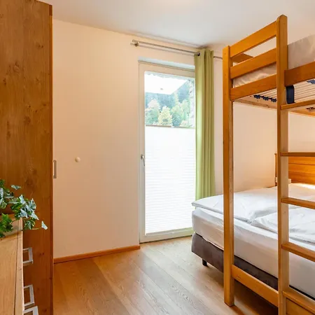 Apartment Residenz Steinbock 1a Viehhofen