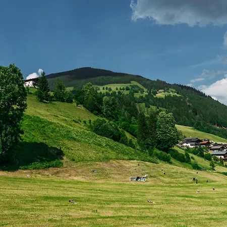 Apartment Residenz Steinbock 1a Viehhofen